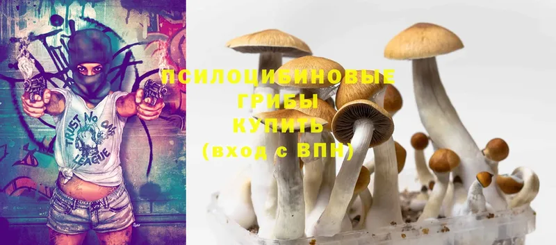 Галлюциногенные грибы Cubensis  Тырныауз 